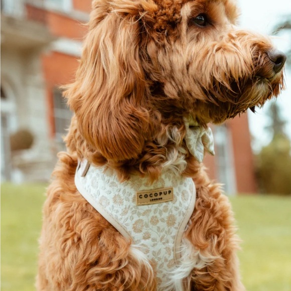 Cocopup London Adjusted Harness - Picture 3 of 7